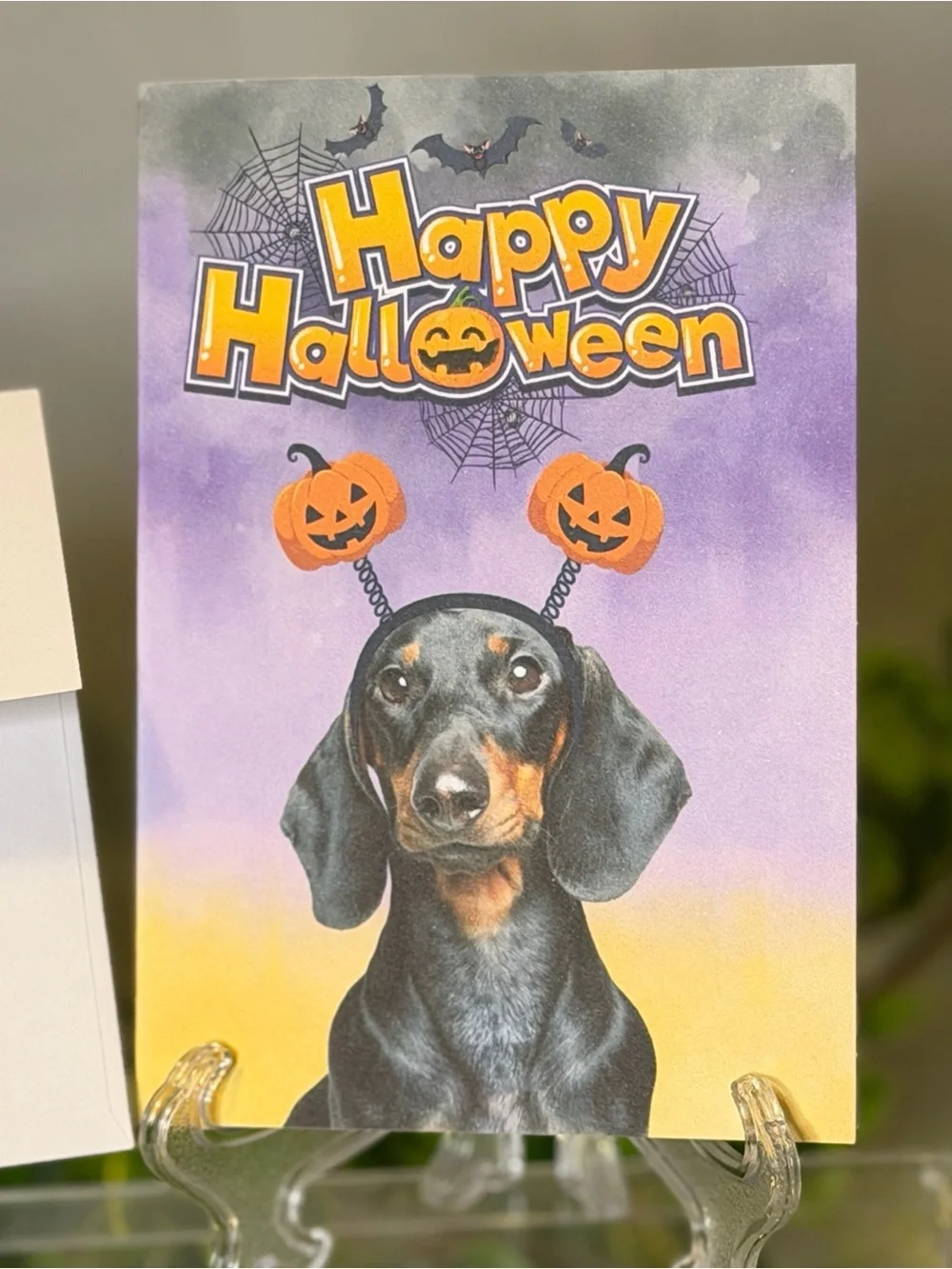 N/A celebrate spooky